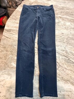 Ann Taylor Cords Pants Women Size 4 Career curvy skinny Straight Leg